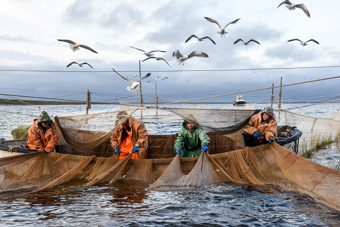Ловля ряпушки в Красноярском крае