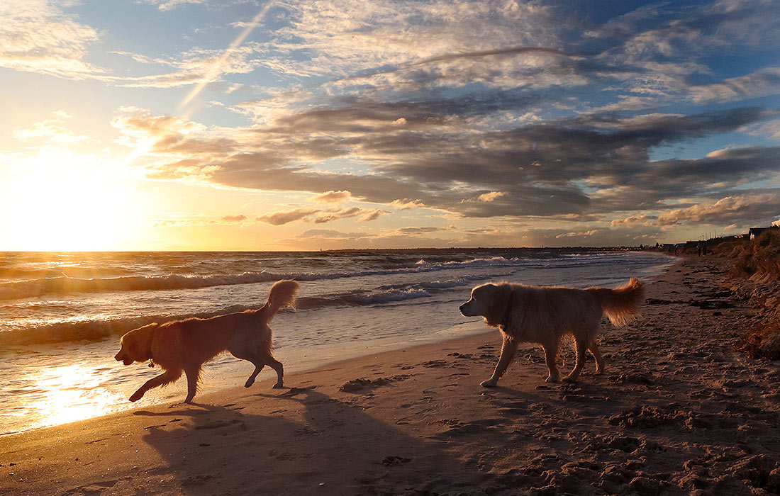 Закат в Мельбурне, Австралия