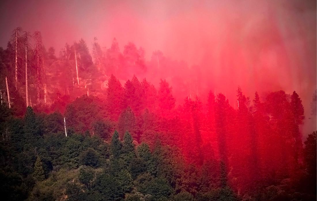 Тушение лесных пожаров в Калифорнии