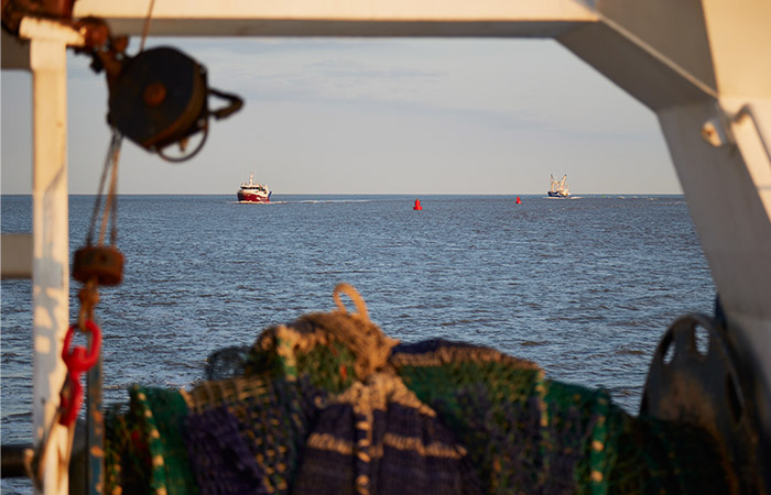 РФ через месяц может закрыть свою экономзону для норвежских рыболовных судов