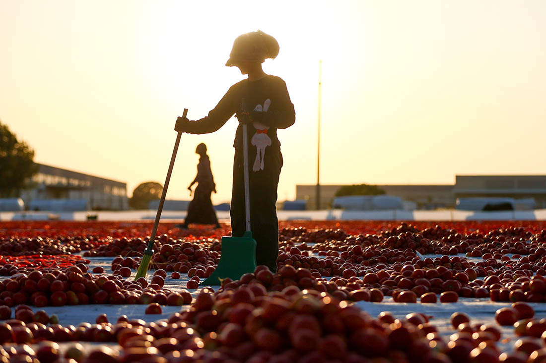 Сушка томатов в Измире