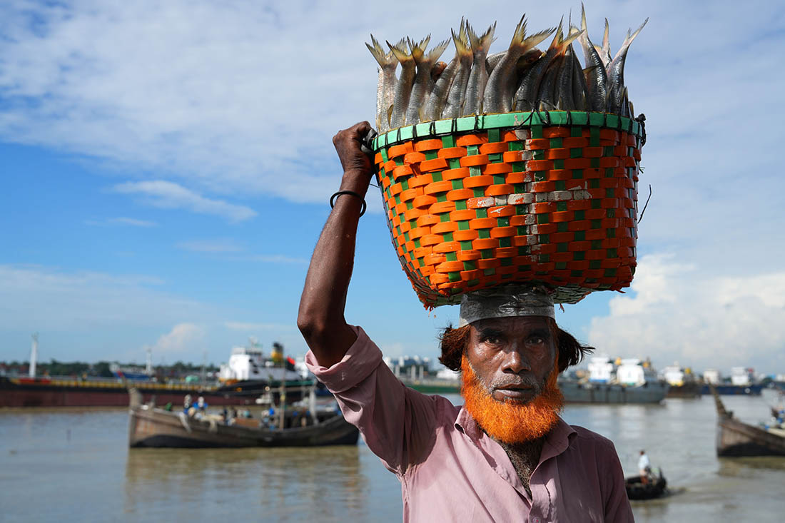 Сезон ловли индийской гильзы в Бангладеш
