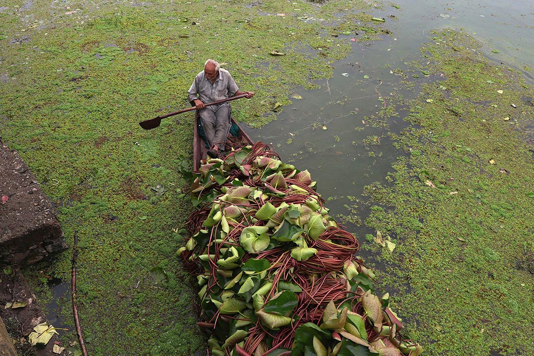 Озеро Дал в Кашмире