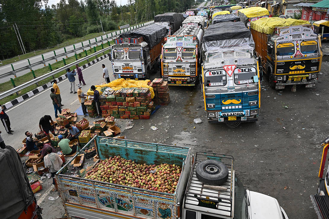 Тысячи тонн яблок в Индии сгнили в грузовиках из-за закрытия трассы Сринагар-Джамму
