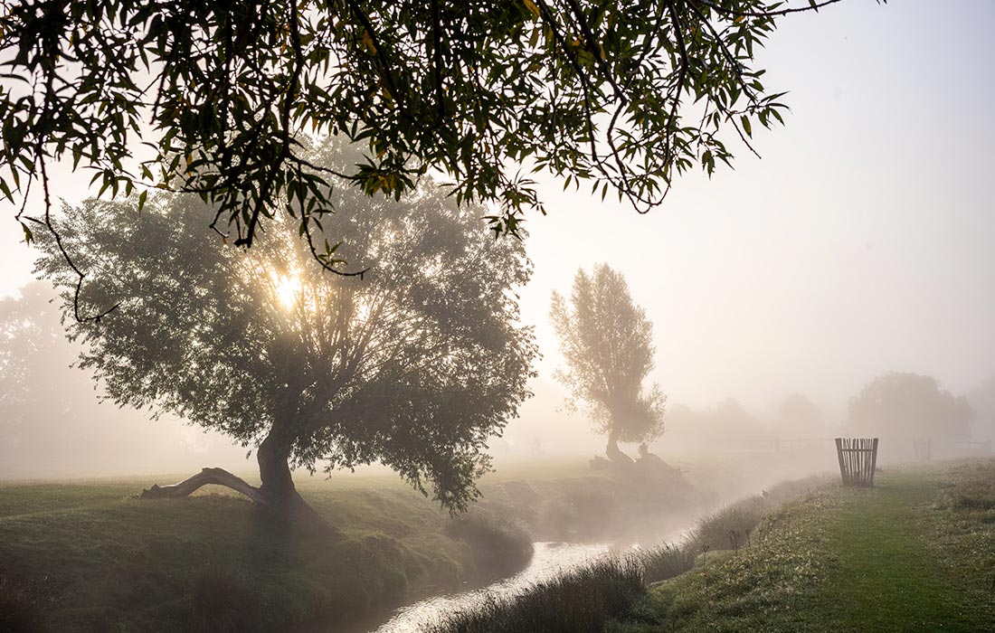 Желтый уровень опасности из-за сильного тумана объявили в Лондоне