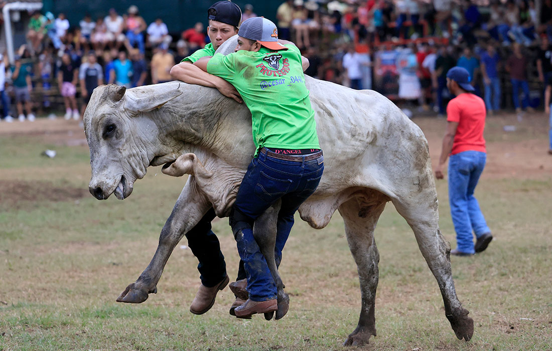 Митинги с призывом к реформам в секторах здравоохранения и образования продолжаются в Марокко
