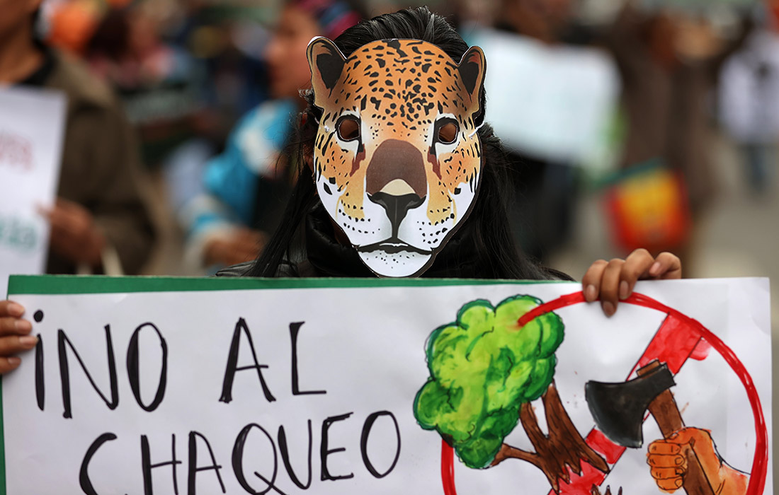 В колумбийском Кали прошли праздничные мероприятия в честь Недели охраны природы