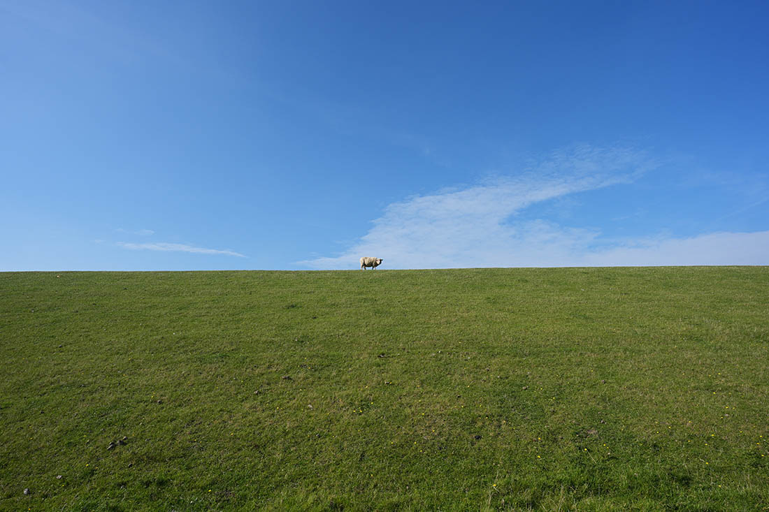 Земля Шлезвиг-Гольштейн в ФРГ