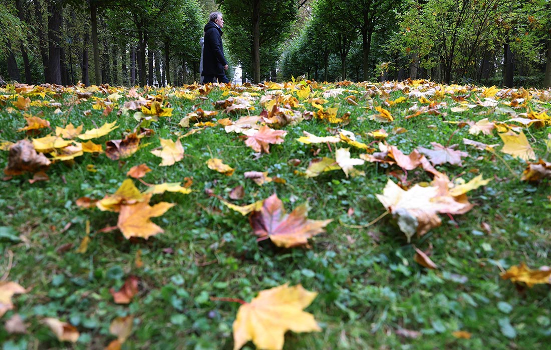 Осень в Москве