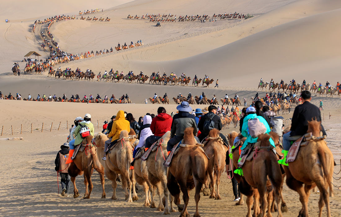 Туристы едут на верблюдах по песчаным дюнам Минша на маршруте Великого Шелкового в Китае