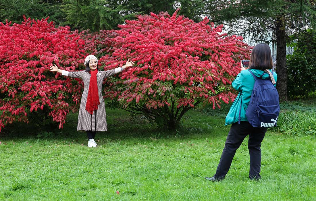 Осень в Москве. На фото: туристы в Александровском саду.