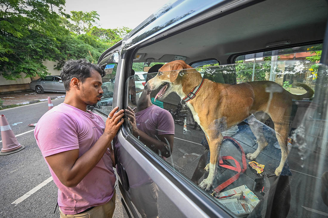 Собак, отловленных в районе стадиона Джавахарлал Неру в Нью-Дели перед соревнованиями, несколько часов держали в машинах после отказа властей от их возвращения на то же место