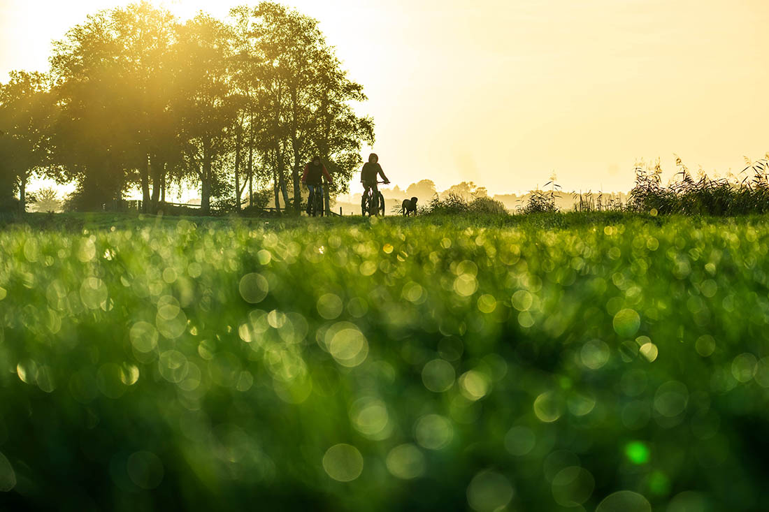 Осень в Бремене