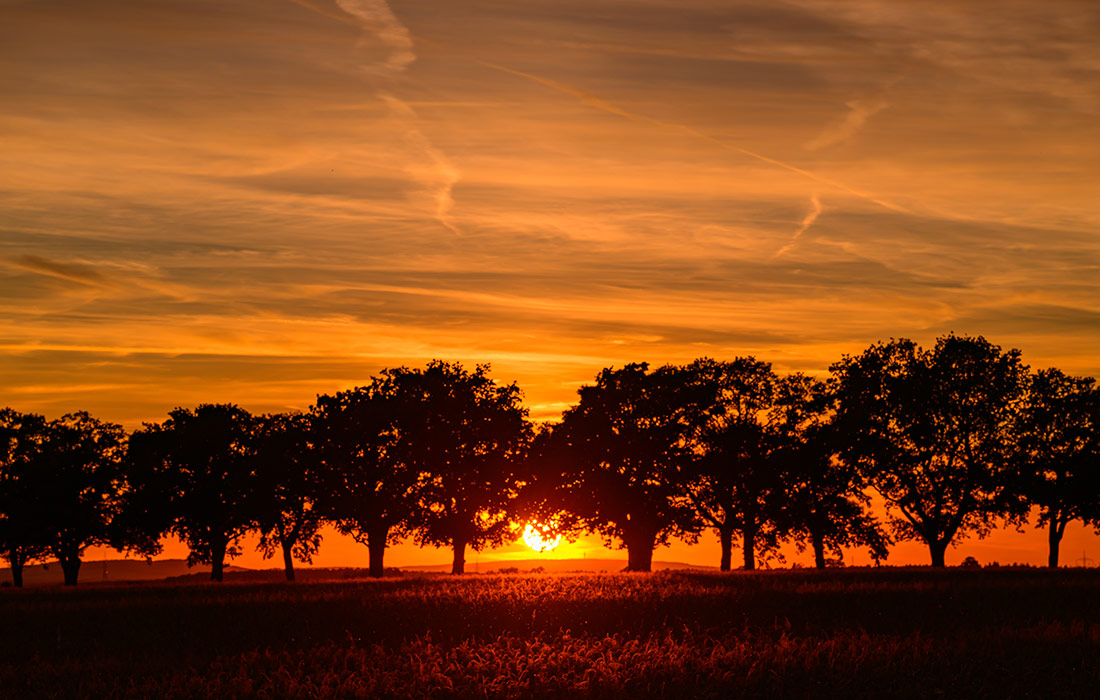 Закат в Бранденбурге, Германия