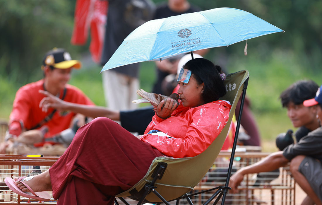 Участник голубиных гонок в Индонезии