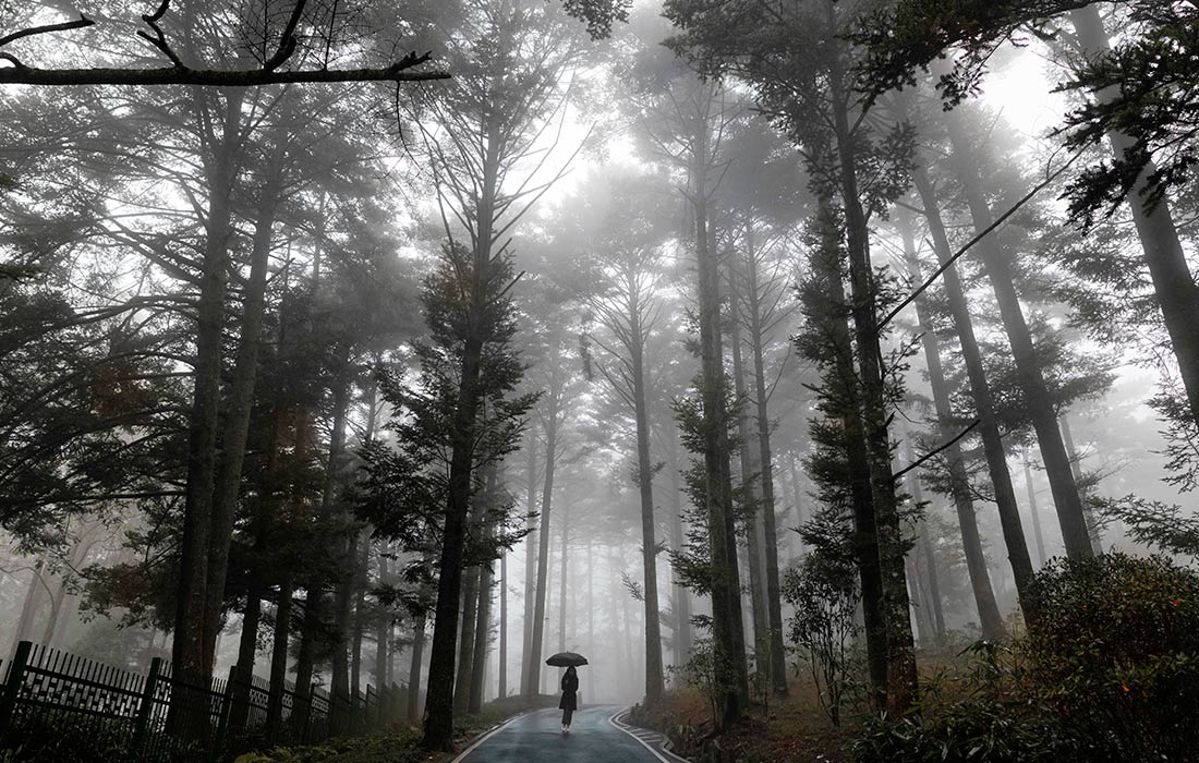 Туман в национальном парке Лушань в Китае