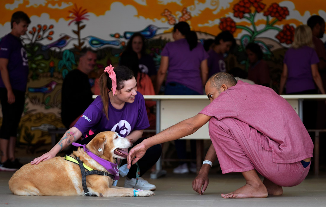 Зоотерапия в университетской больнице в Бразилиа