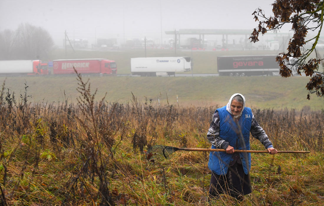 Грузовые автомобили на подъезде к международному автомобильному пункту пропуска Каменный Лог (Белорусско-Литовская граница)