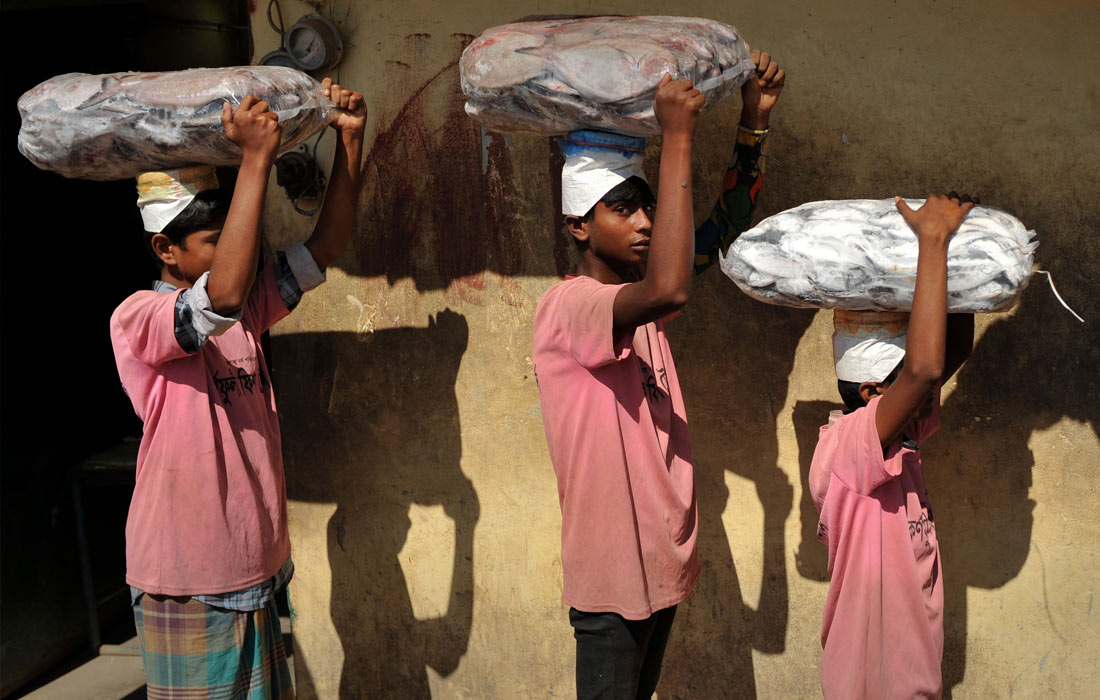 Погрузка замороженной рыбы для транспортировки в Бангладеш