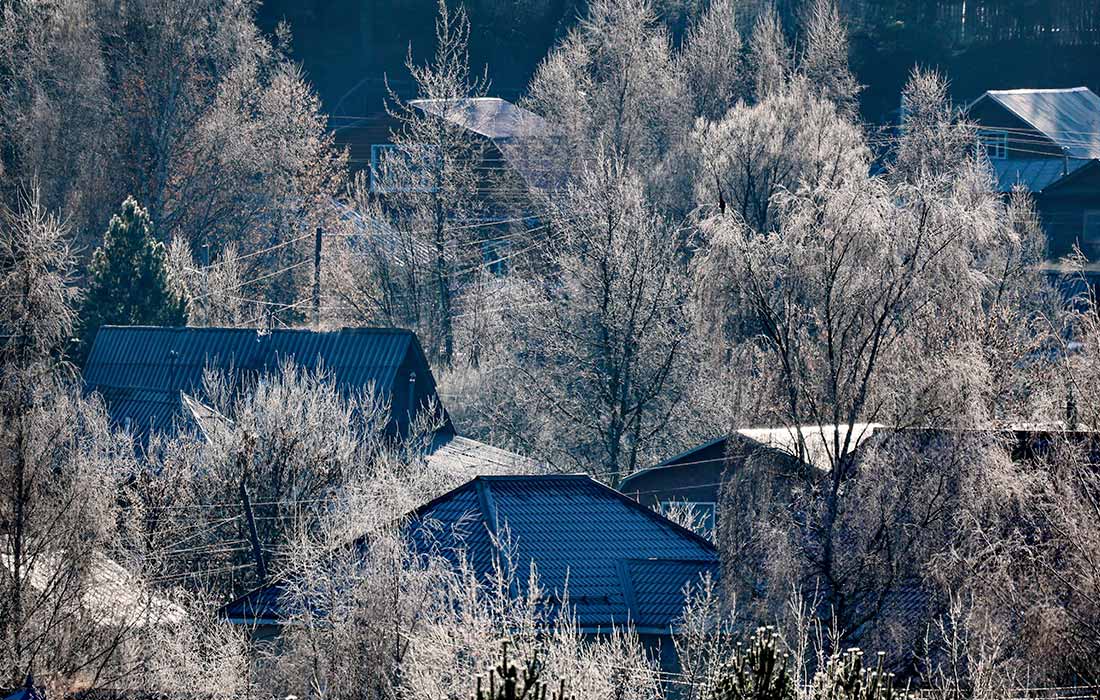 Покрытые инеем деревья в Костромской области