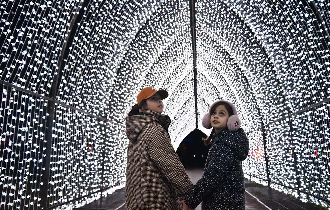 В ботаническом саду Лондона открылась праздничная световая тропа "Рождество в Кью"