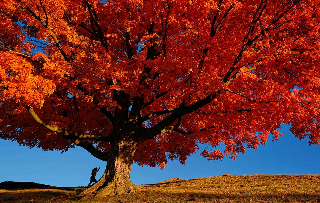 Осень в Канзас-Сити, США