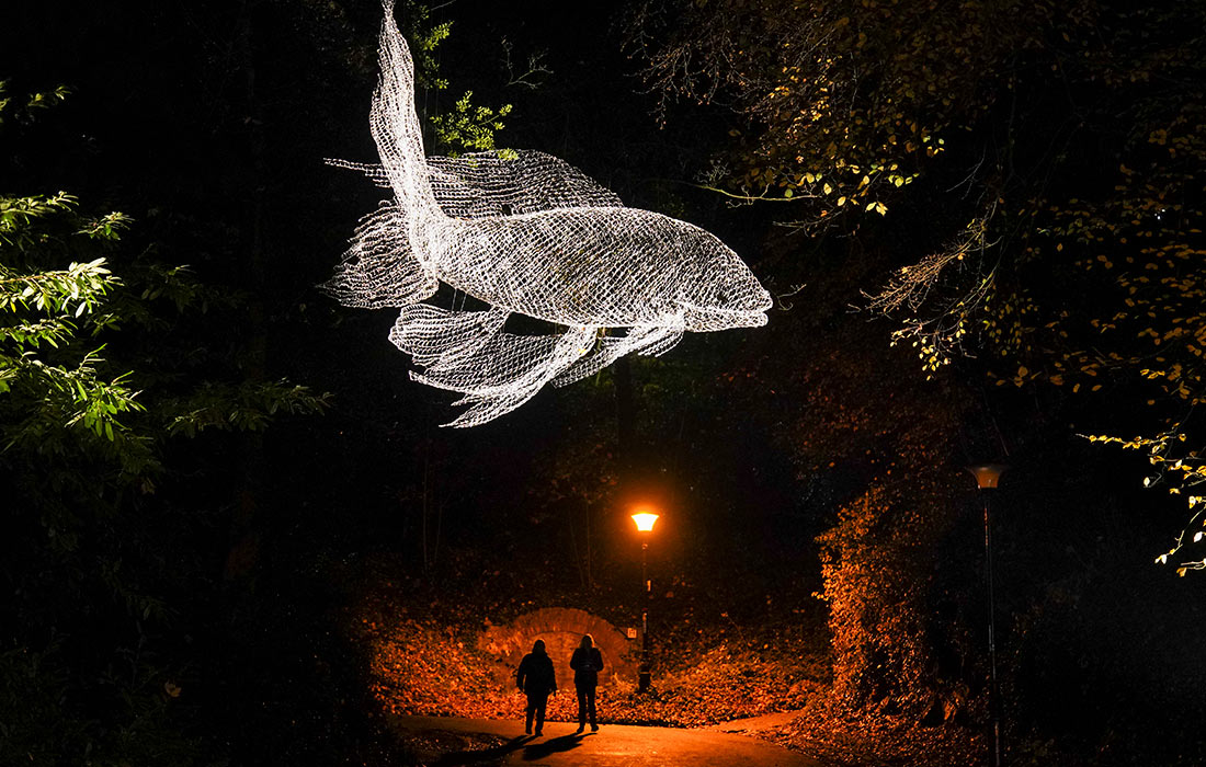 Световое шоу в Дареме, Англия