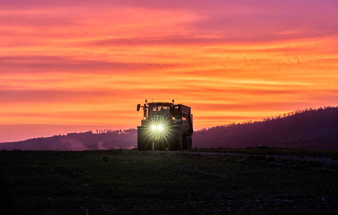 Рассвет во Франкфурте-на-Майне