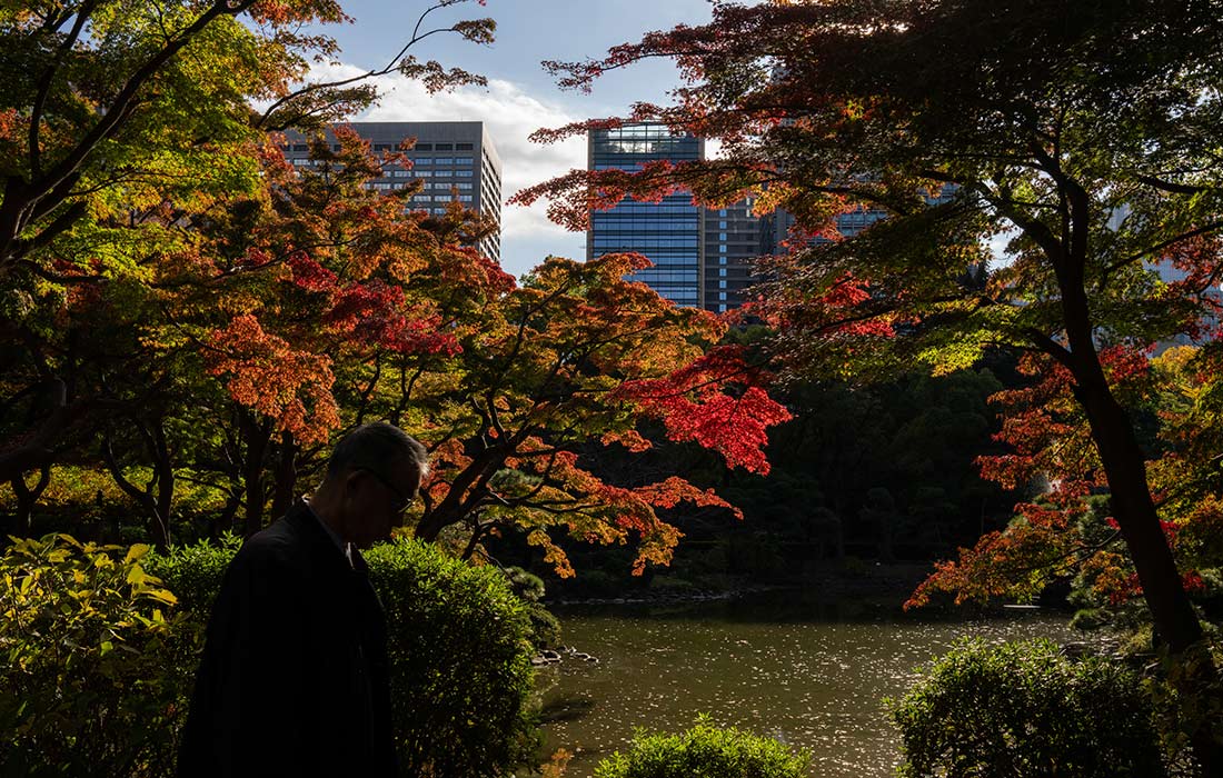 Осень в Токио