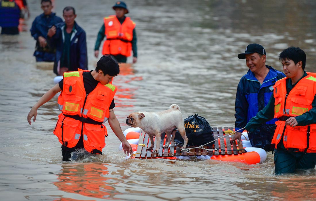 Масштабное наводнение во Вьетнаме привело к гибели 43 человек, 9 пропали без вести