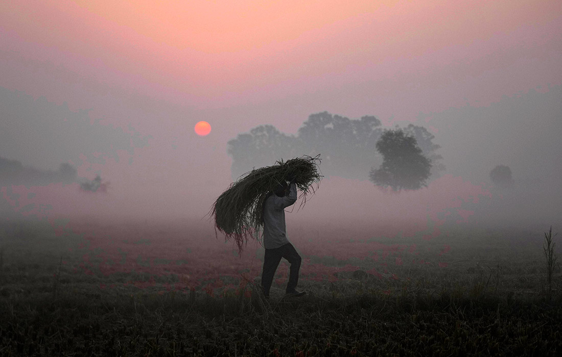 Туманное утро в Кашмире, Индия