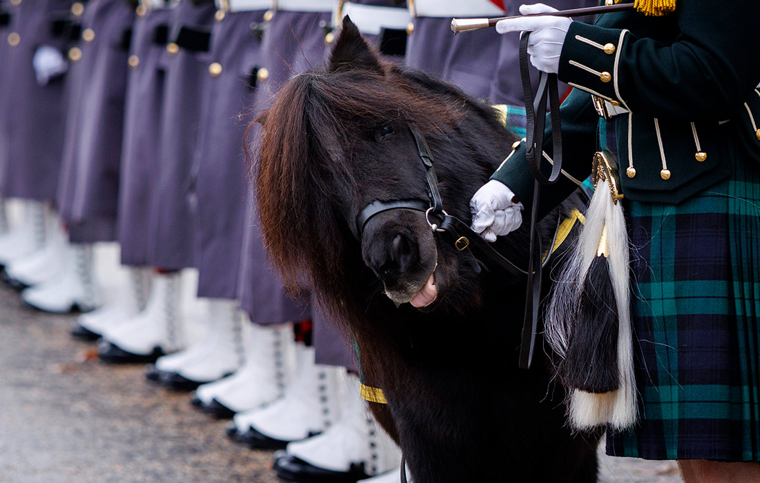 Королевский полк Шотландии на репетиции парада в Лондоне