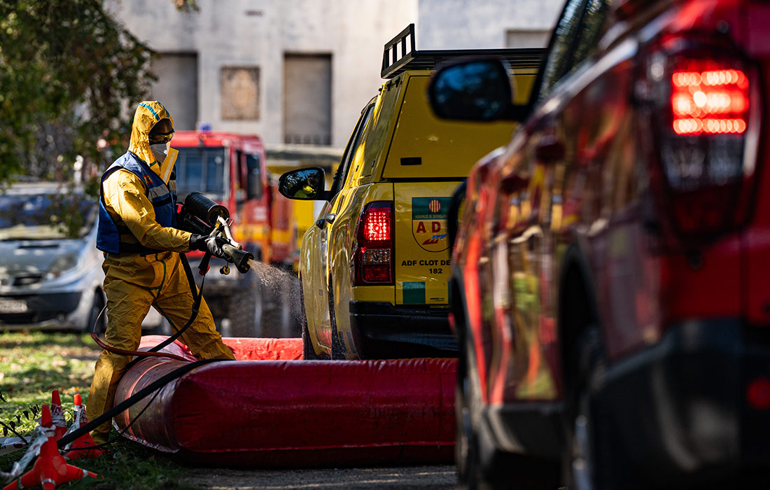 Вспышка африканской чумы свиней в Каталонии