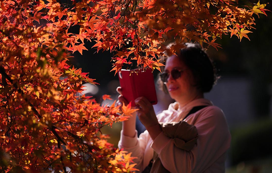 Теплая погода в японском городе Нагоя
