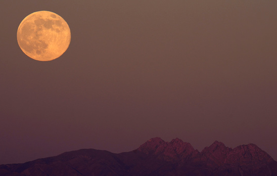 Фотохроника 5 декабря