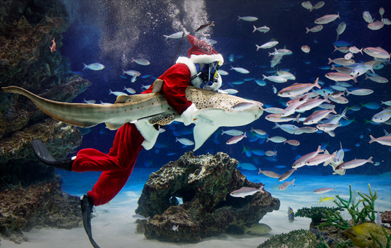 Лучшие фото недели