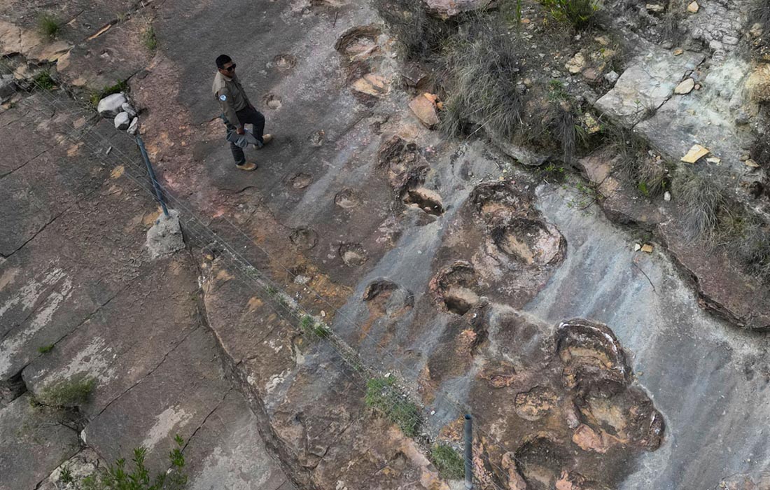 В Боливии нашли около 18 000 следов динозавров мелового периода