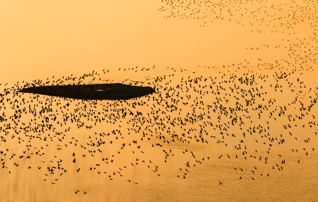 Зимнее утро в Нижней Саксонии