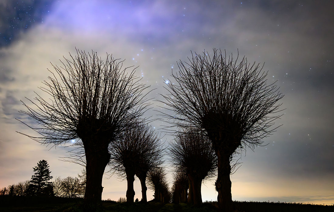 Звездное небо над восточным Бранденбургом