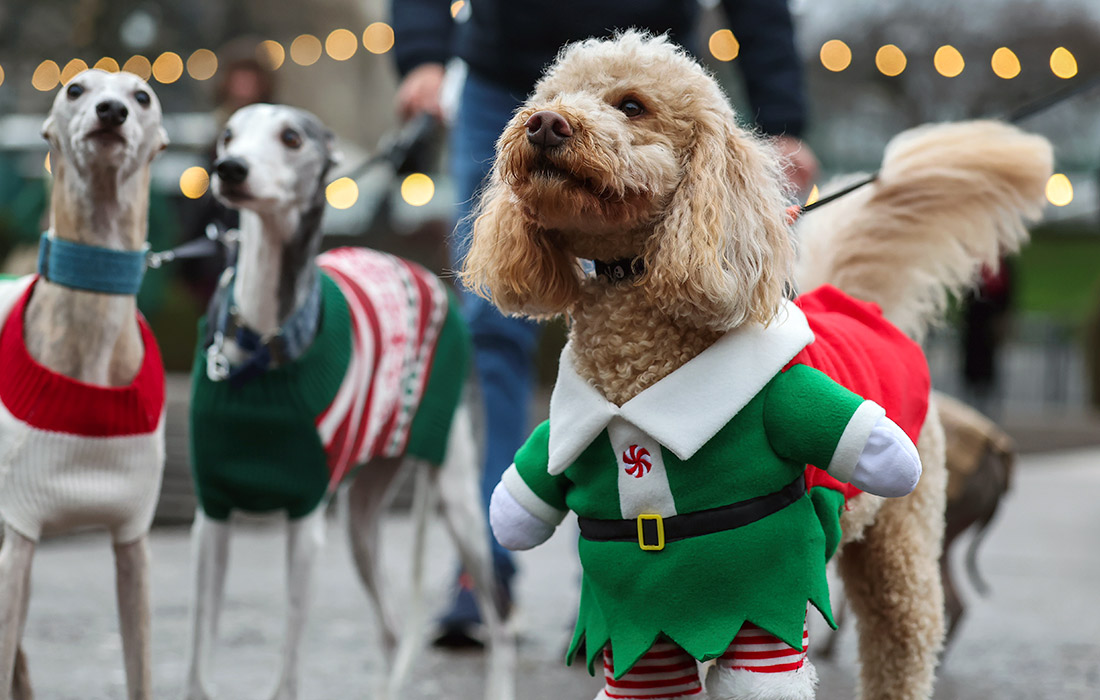 Эдинбургский рождественский фестиваль, Шотландия