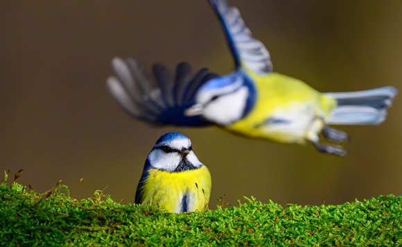 Фотохроника 15 декабря