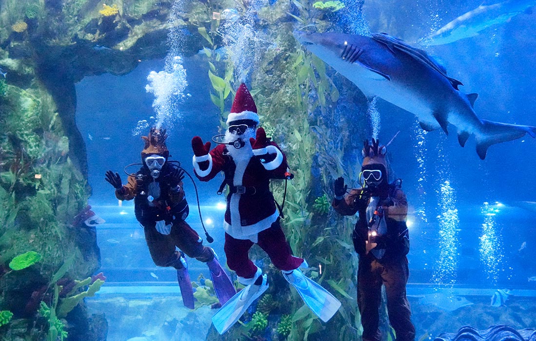 Дайвер в костюме Санта-Клауса в аквариуме в Сеуле