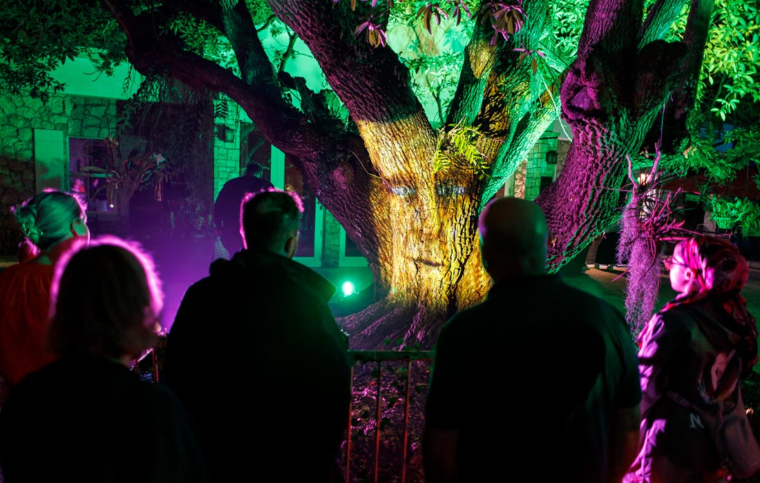 Световое шоу в ботаническом саду Fairchild в Майами