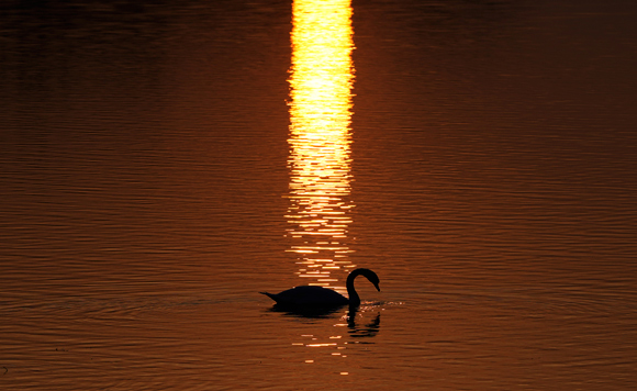 Лучшие фото недели