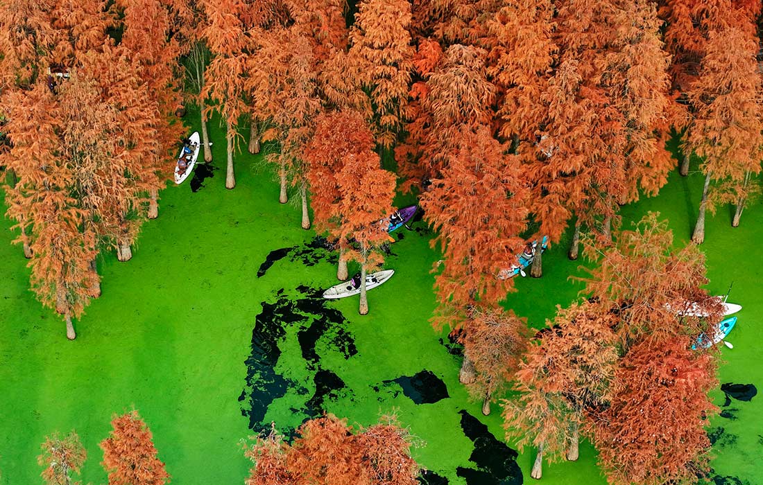 Национальный лесной парк озера Циншань в Китае