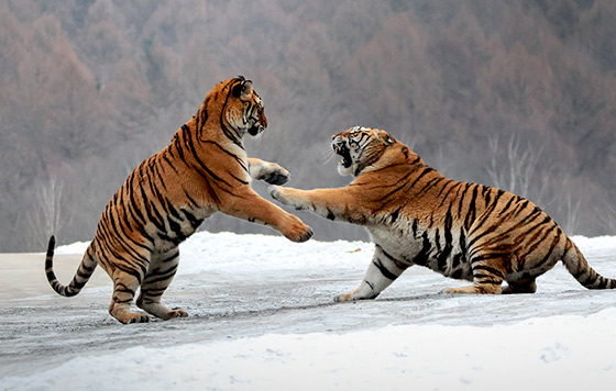 Фотохроника 22 декабря