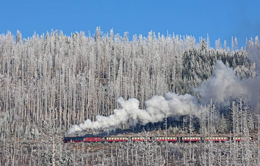 Зимняя погода в горах Гарц, Германия