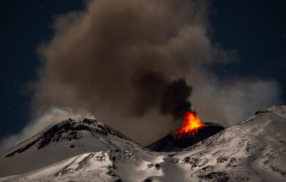 Фотохроника 29 декабря