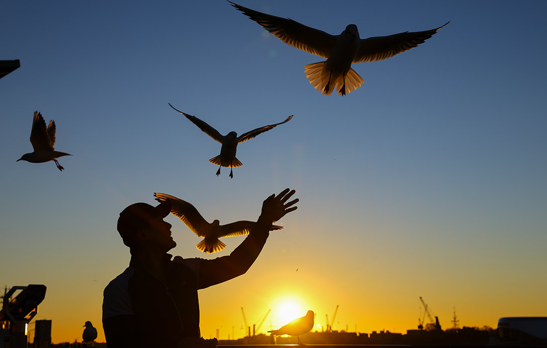 Зимнее солнце в порту Гамбурга