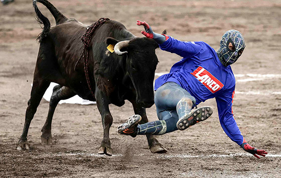 Фотохроника 30 декабря